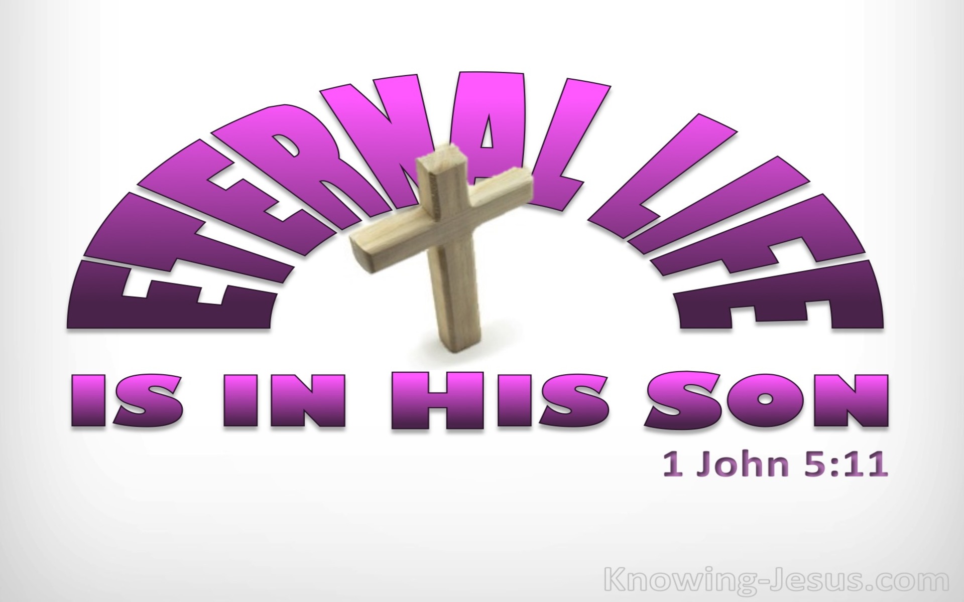 1 John 5:11 This Life Is In His Son (pink)